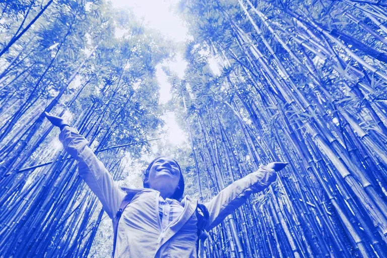 Sustainable business